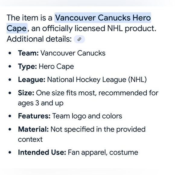🆕NHL Vancouver Canucks Superhero Costume - Picture 3 of 10